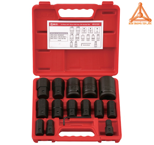 BS-615H bộ tuýp 3/4 đầu vít lục giác hệ inch 15 chiếc hãng Genius